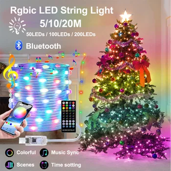 5/10/20M LED Reťazec Svetlá RGBIC Farebný Sen s Diaľkovým a Ovládanie Hudby APP Sync Rgbic Vianočný Večierok Izby Záhrada Dekor DC5V