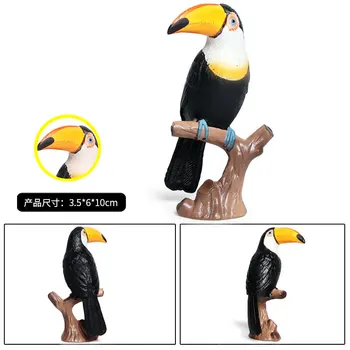 3.5*6*10 CM Simulácia voľne žijúcich vtákov a hydiny živočíšneho sveta statického solid model toucan papagáj deti hračky